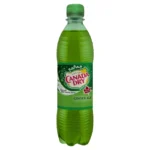 Canada Dry (0,5l)