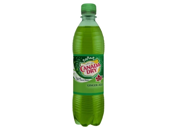 Canada Dry (0,5l)